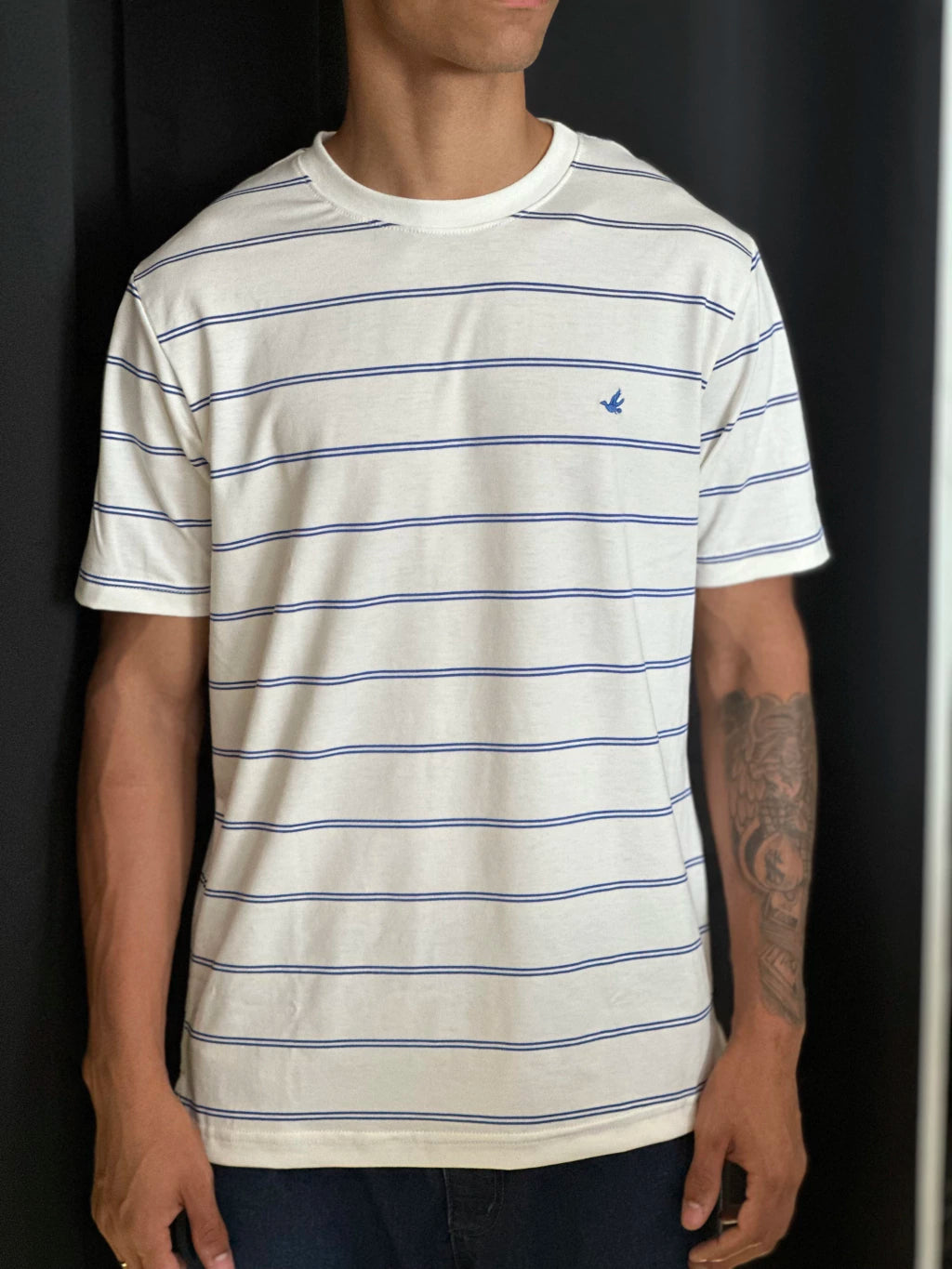 Camiseta Listrada Brooksfield